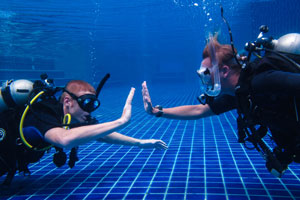 photo of divers in a pool