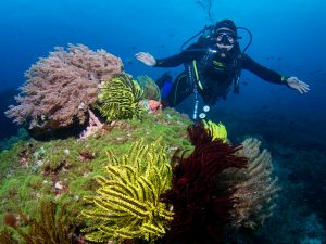 Dauin, Philippines – Azure Dive Resort