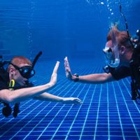 photo of divers in a pool